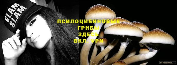 мдпв Балабаново