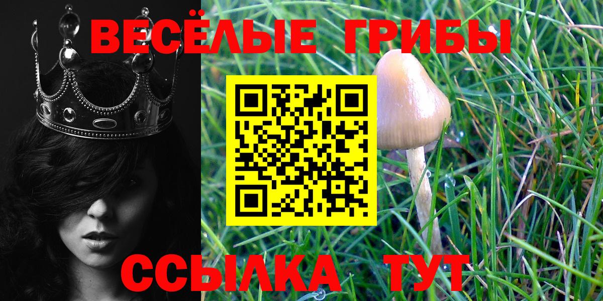 Верхняя Салда  Галлюциногенные грибы Psilocybe  Вход с VPN 