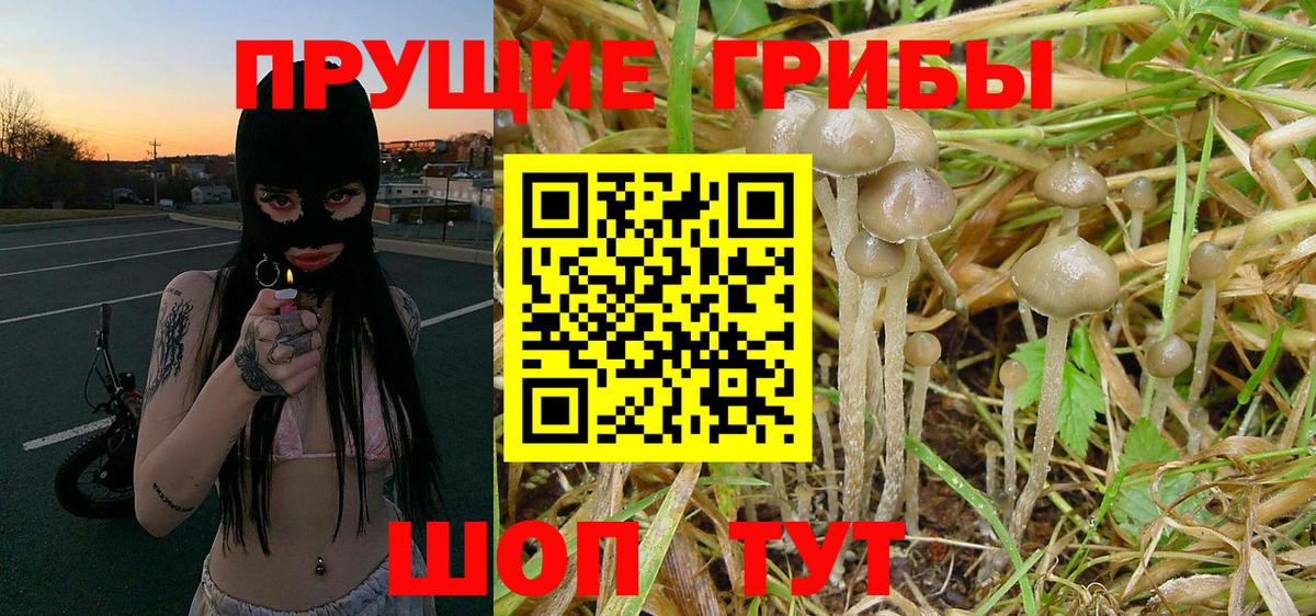 Псилоцибиновые грибы MAGIC MUSHROOMS Верхняя Салда