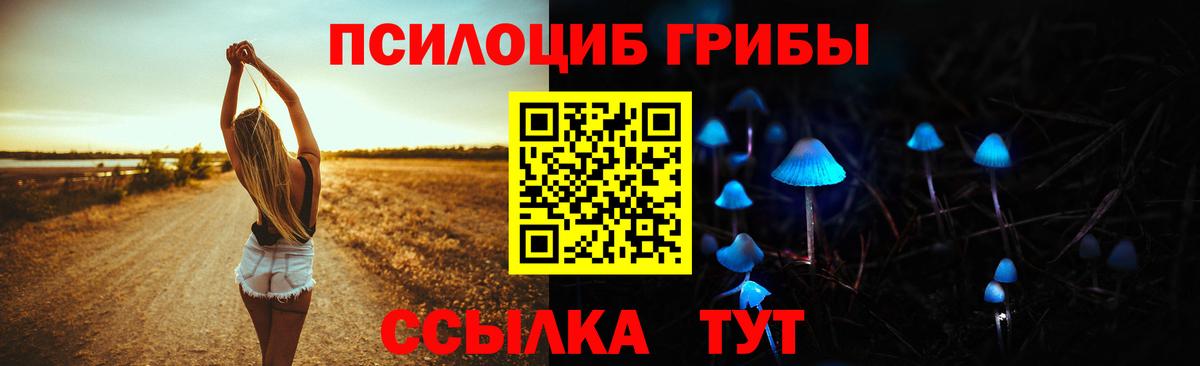 Псилоцибиновые грибы ЛСД  наркошоп  Верхняя Салда 
