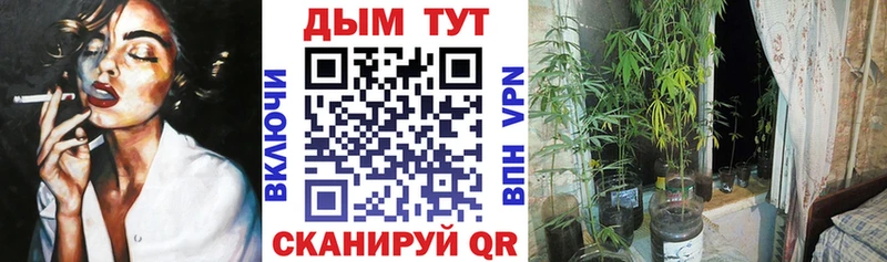 МАРИХУАНА SATIVA & INDICA  Верхняя Салда 